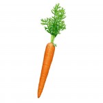 Una Zanahoria